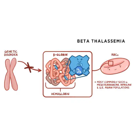 beta thalassemia mutation detection prenatal